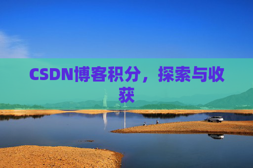 CSDN博客积分,探索与收获