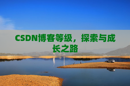 CSDN博客等级,探索与成长之路